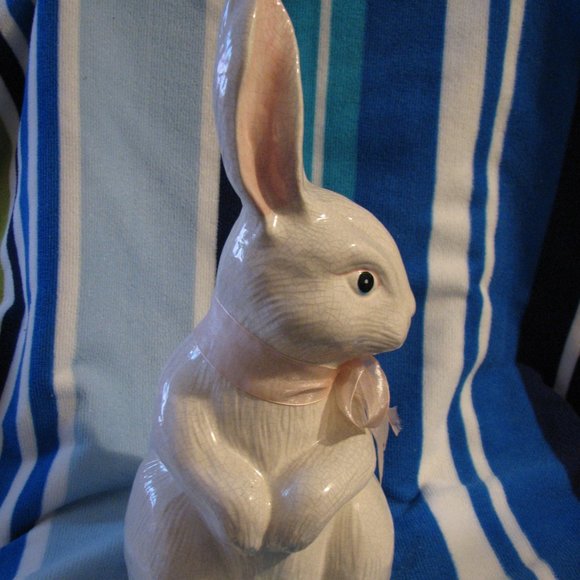 Bunny Rabbit - Picture 5 of 6